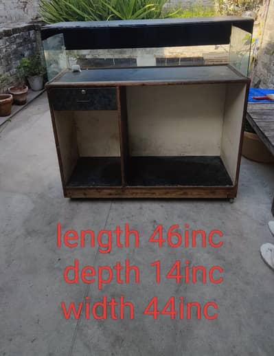 Lasani Office counter