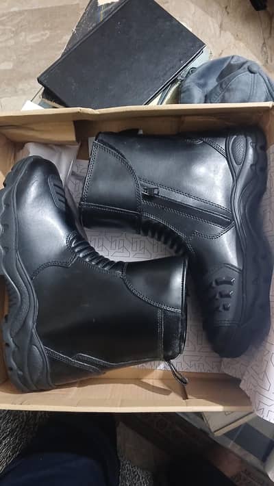 Dolphin Police shoes