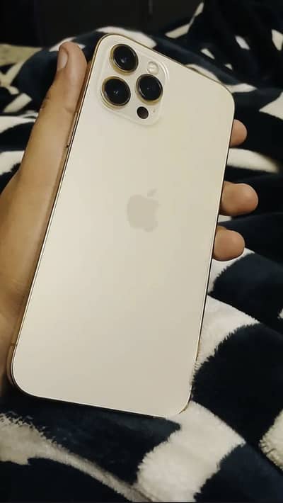 12 Pro Max Pta Approved Gold