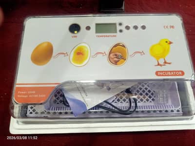 20 eggs smart automatic incubator
