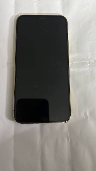 Iphone 12 pro pta approved