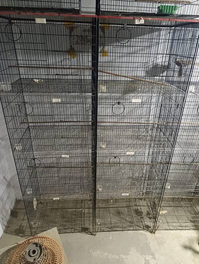 Cages - Pinjray For Sale