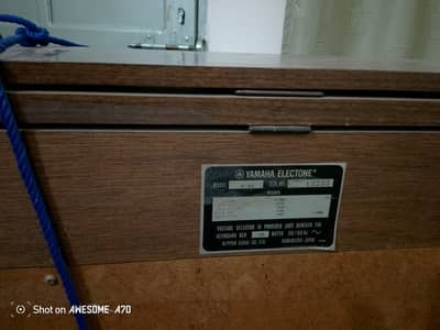 Double pad imported piano