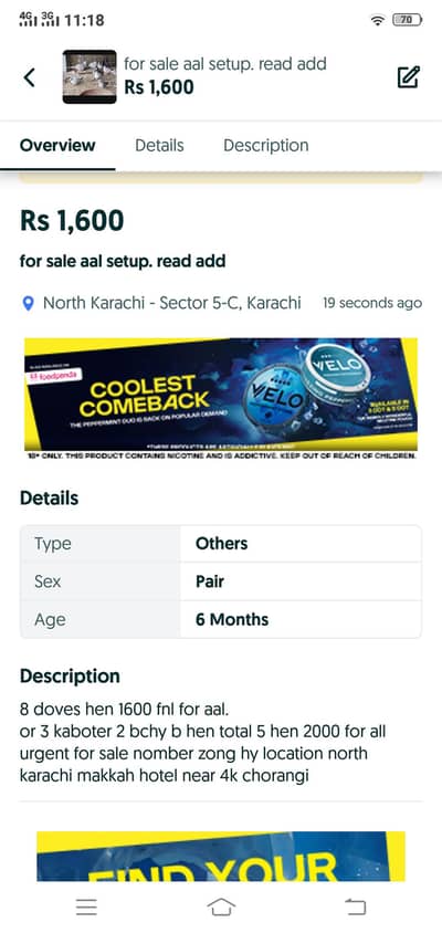 picture me detalis hen