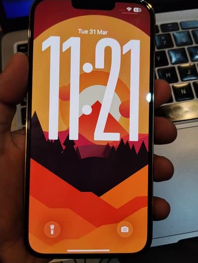 Apple iPhone 13 Pro Max