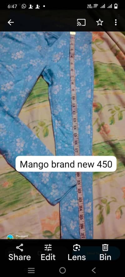 new mango brand