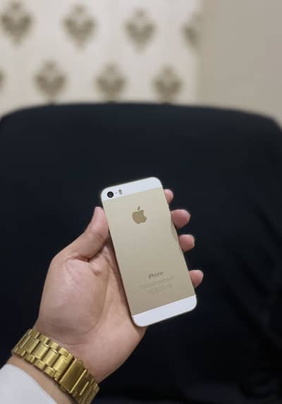 Antique piece iphone 5s