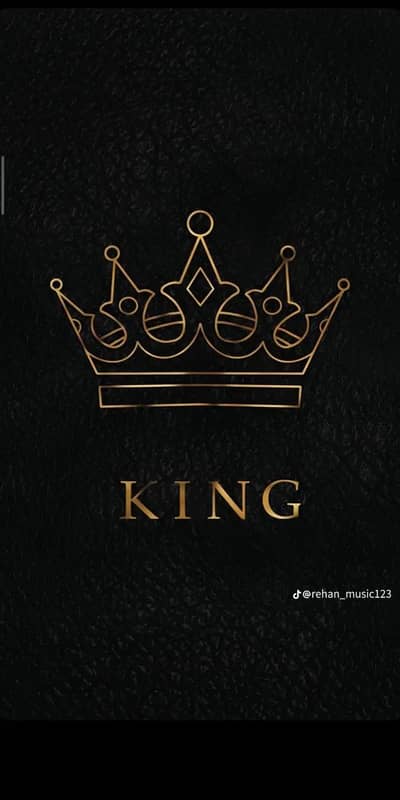 austrolop chicks available  takriban 2 month k h