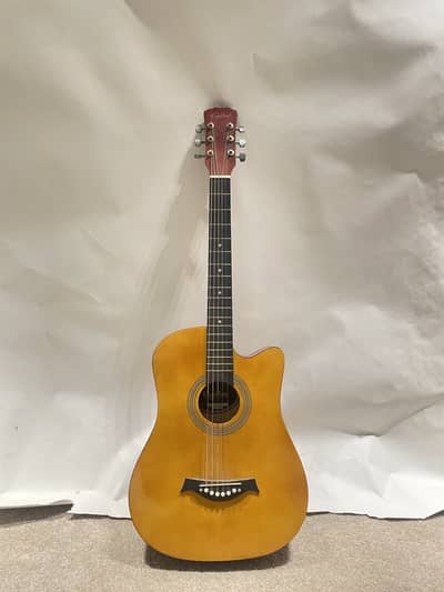 Acoustic Guitar