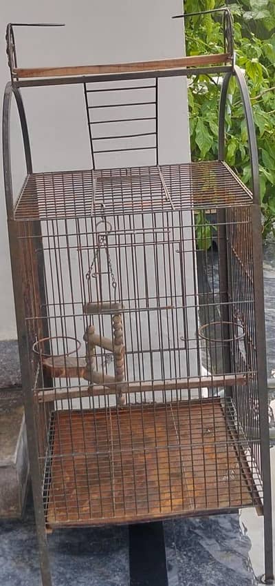 _Vintage Rustic Parrot Cage – Perfect for Pet Lovers_