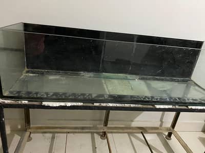 Aquarium with Heavy Guage Iron  Rack