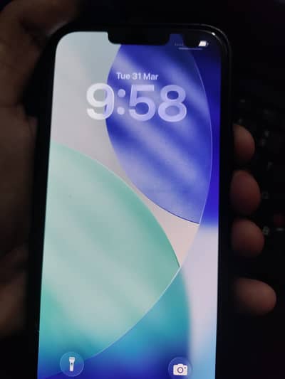 iPhone 13 pm only dot in panel rest all ok