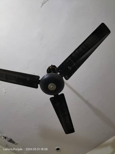 ceiling fan