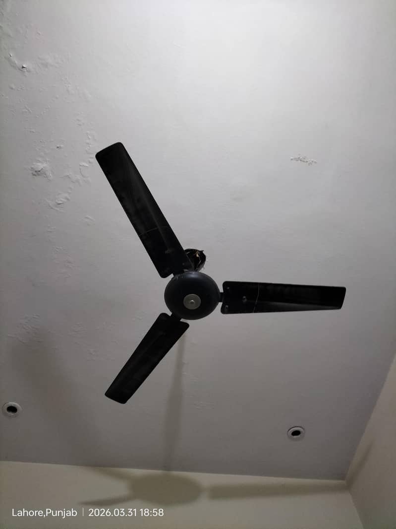 ceiling fan 1