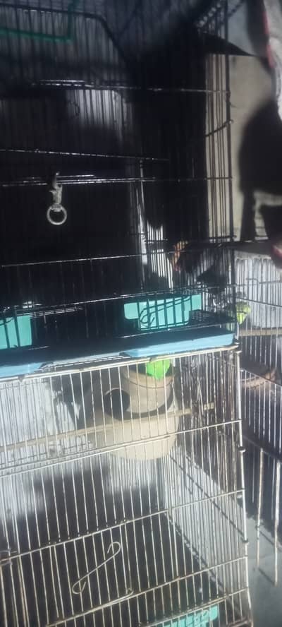 1 pair and 2 potion cage