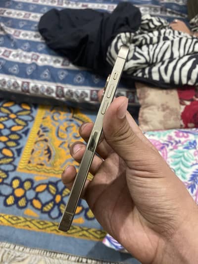 12 PRO MAX 10/10 FACTORY UNLOCKED