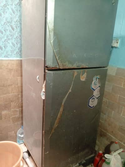 PEL full size refrigerator