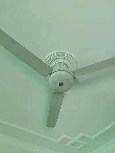 Wahid Pure Coper celling fan 70 watts