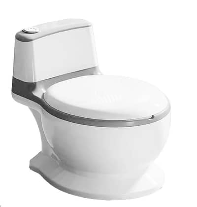 Potty Training Seat