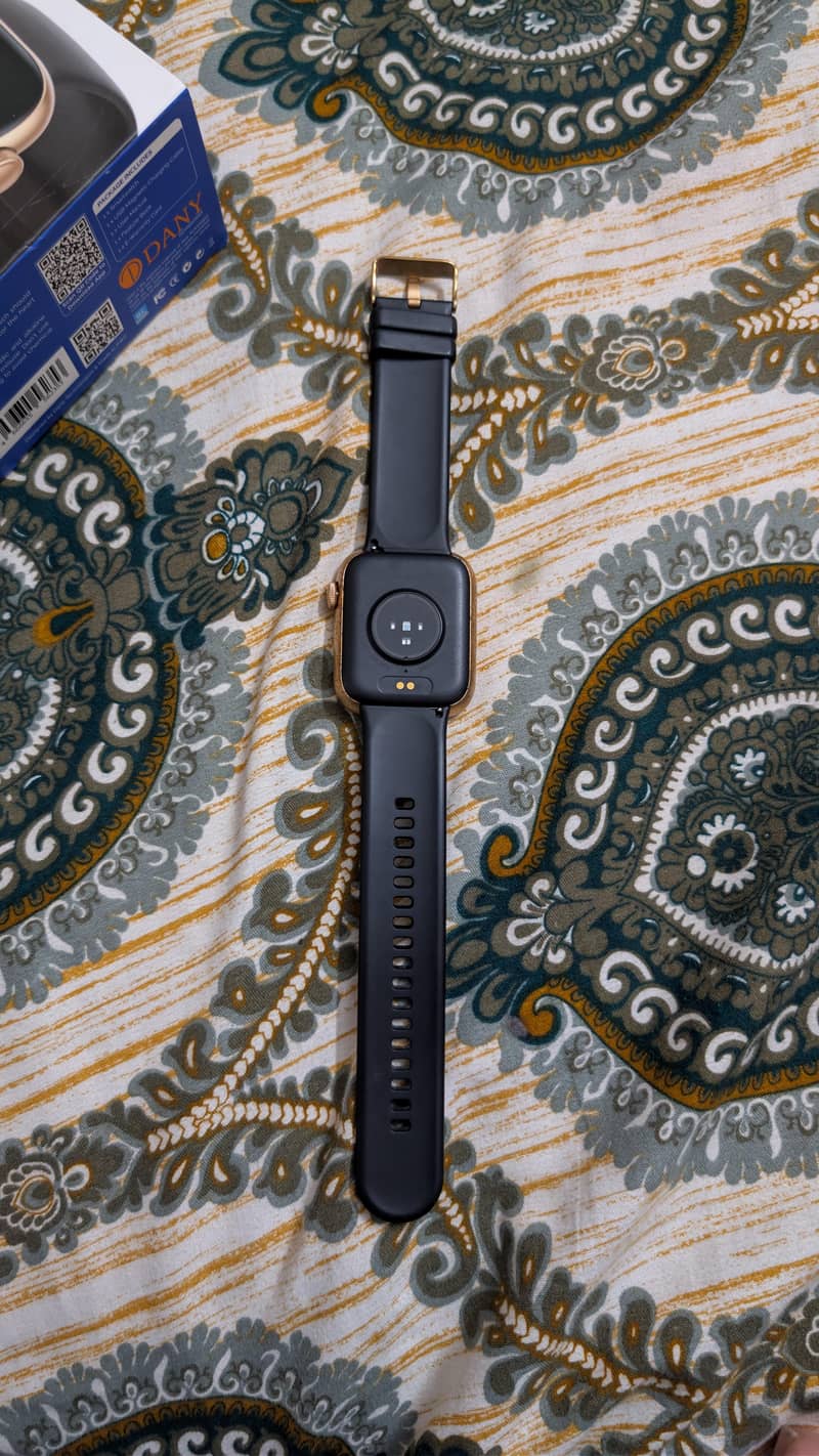 Danny Loop pro 10/10 condition 2