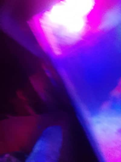 fish aquarium for urgent sale