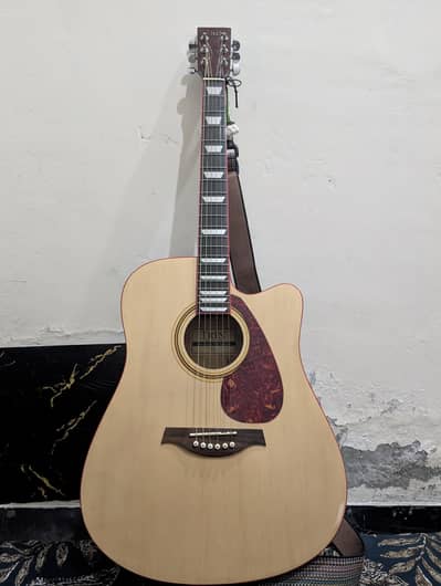 IRIN simi acoustic guitar