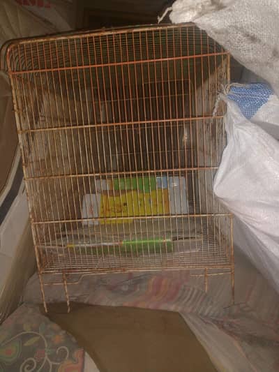 chicken and bird cage exchange possible with any touch mobile