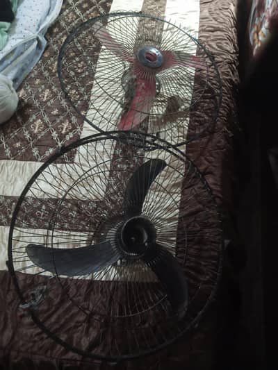 2 Fan Hen Dono Battery Pe On Hen 03102542557