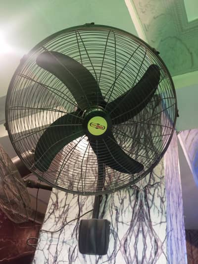 Royal fan 24 inh fall fun