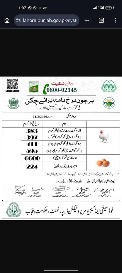 chicken shop worker Require