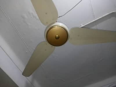sk celling fan