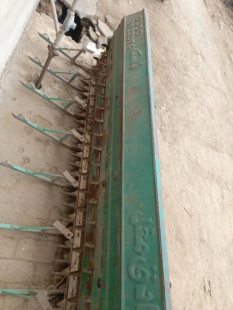 raper Daska company. model. 2023 1