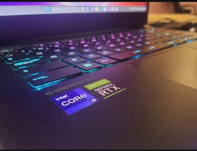 MSI raider GE66 series