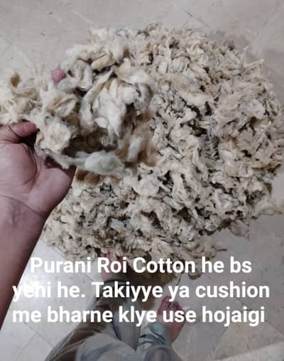 Roi Cotton he bs yehi