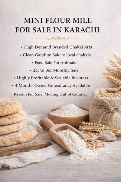 Running Mini Flour Mill For Sale