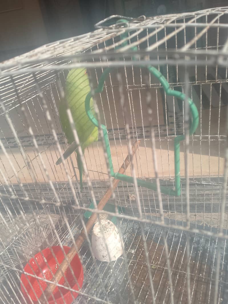 f. mail raw active 9