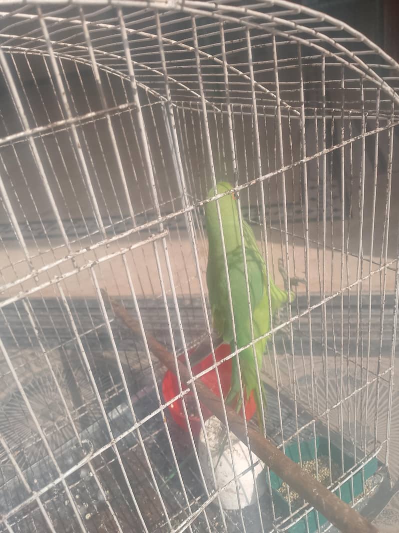 f. mail raw active 10