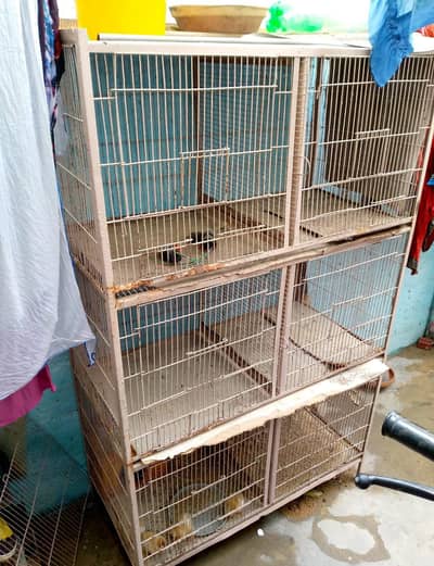 parrot cage