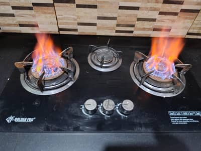 Golden Fuji Burner Hob for sale