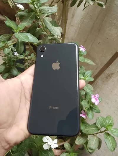 XR non pta water proof