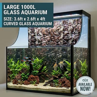 “1000L Premium Aquarium + FREE Small Tank” 3.6ft × 2.6ft × 4ft
