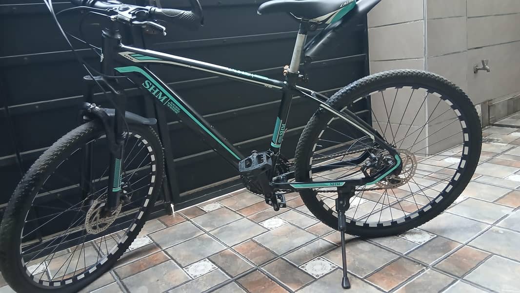 new cycle 1