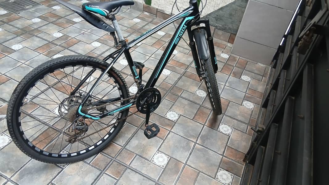 new cycle 2