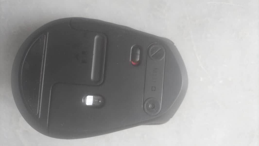 m331 Mouse 1