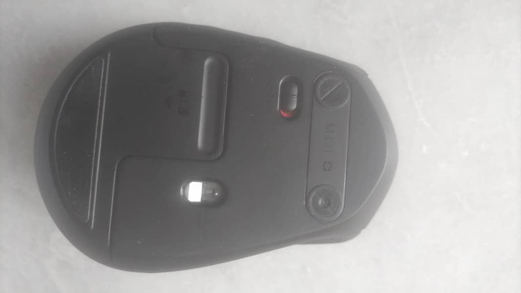 m331 Mouse 2