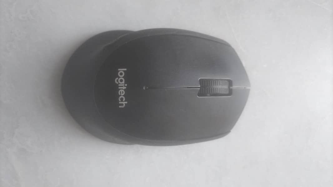 m331 Mouse 3