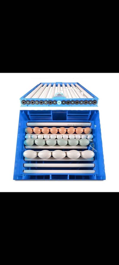 yiwaan incubator model 64_320