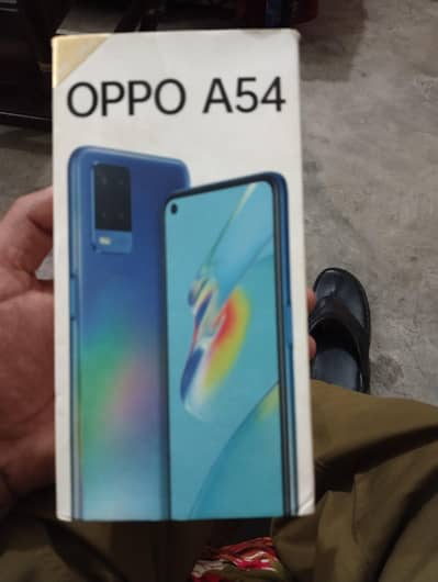 oopoa54 with box
