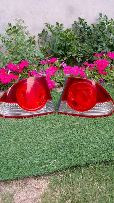 civic reborn back light 2006 /2012