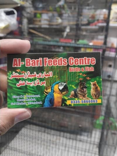 Saleman job G9 Markaz